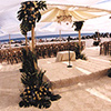 coronado wedding.
