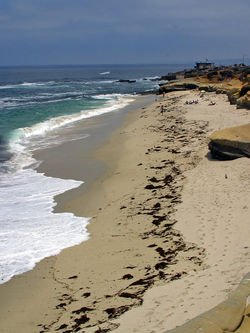 the sea lodge on la jolla shores beach.