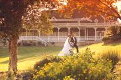 outdoor wedding plan.