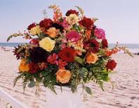 coronado beach weddings.