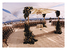 wedding on coronado.