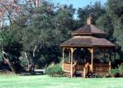 outdoor wedding site.