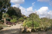 get married at the prado in balboa park, balboa park marriage memories to last forever.